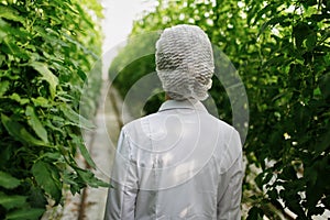 Biotechnology woman engineer examining plant leaf