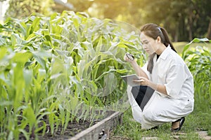 Biotechnology woman engineer examining plant leaf for disease