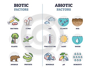 Biotic and abiotic factors as biological elements division outline diagram photo