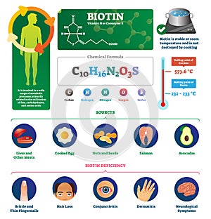 Biotin vector illustration. Labeled metabolism vitamin infographics scheme.