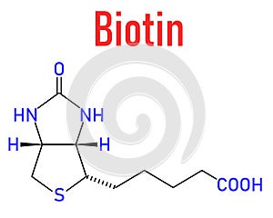 Biotin or vitamin B7 molecule. Skeletal formula. photo