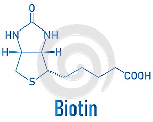 Biotin or vitamin B7 molecule. Skeletal formula. photo