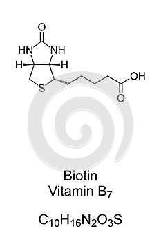 Biotin vitamin B7 chemical formula and skeletal structure