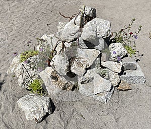 Biotopes nature reserves