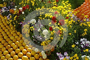 Bioves gardens in Menton during the lemon festival