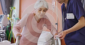 Biracial female doctor helping senior caucasian female patient use walking frame at hospital