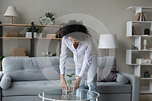 Biracial female renter decorate cozy living room