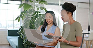 Biracial woman and young African American woman collaborate in a business office