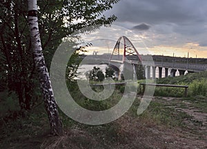 Birch and arched bridge in Novosibirsk