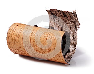 Birch bark photo