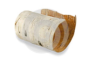 Birch bark isolated on a white background with shadow. Roll of birch bark rolled up on a white background. Birch bark on photo