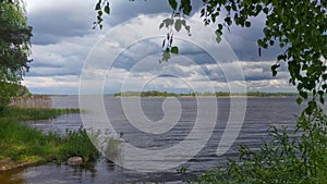 Birch branches hang over the water. Grass and trees grow on the shore of the lake, and reeds grow in the water. There is a forest