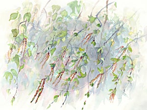 Birch branches watercolor background