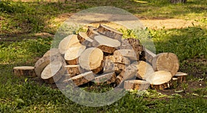 Birch chocks on green grass