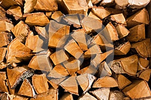 Birch fire wood