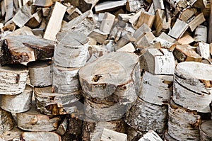 Birch fire wood