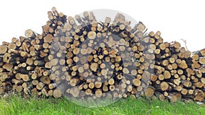Birch firewood stack background