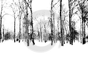 Birch forest landscape in cold winter day. Dotwork style snowy park with tree silhouettes.