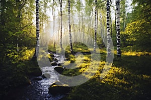 Birch forest and mountain creek, tranquil forest landscape in spring, generative ai