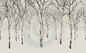 Birch Grove