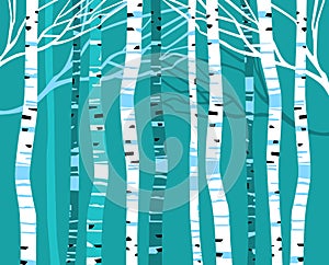 Birch Grove. Abstract stylized forest.