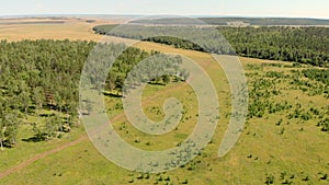 Birch grove and dense forests surround green meadows covering hills and fields