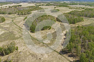 Birch grove and dense forests surround green meadows covering hills and fields under blue sky in summer, aerial view. Panorama of