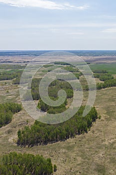 Birch grove and dense forests surround green meadows covering hills and fields under blue sky in summer, aerial view. Panorama of
