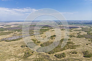 Birch grove and dense forests surround green meadows covering hills and fields under blue sky in summer, aerial view. Panorama of