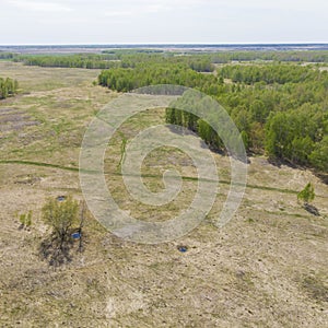 Birch grove and dense forests surround green meadows covering hills and fields under blue sky in summer, aerial view. Panorama of