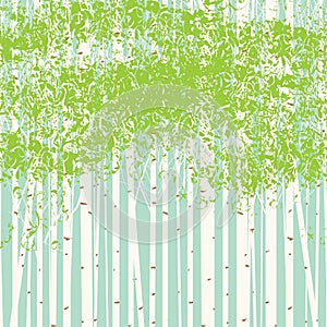 Birch grove vector background against the blue sky