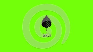 Birch leaf icon animation