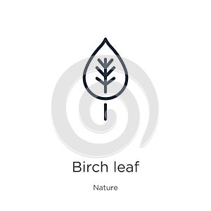 Birch leaf icon. Thin linear birch leaf outline icon isolated on white background from nature collection. Line vector sign, symbol