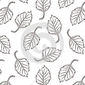 Birch leaf seamless pattern in line, outline art style. Abstract print with leaves for fabric, wrapping and textile