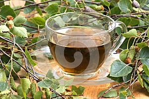 Birch leaf tea