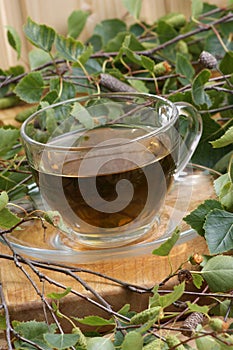 Birch leaf tea