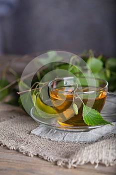 Birch leaf train a glass cup on a wooden surface.