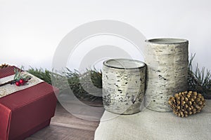 Birch and pine cones with present