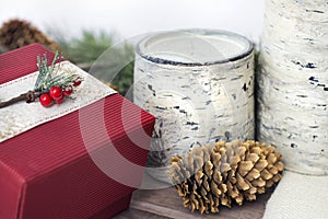 Birch and pine cones with present