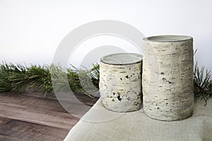 Birch and pine cones with present