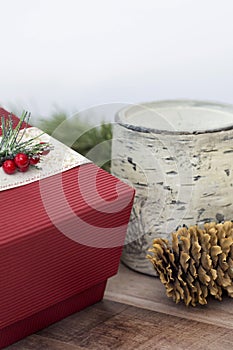 Birch and pine cones with present