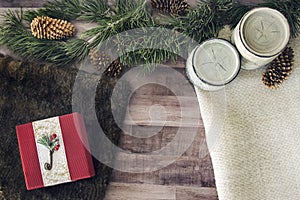 Birch and pine cones with present