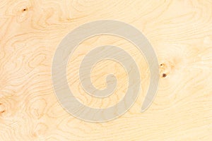 Birch plywood photo