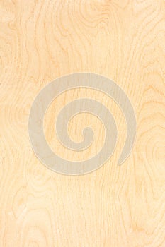 Birch plywood pattern