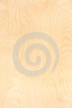 Birch plywood pattern photo