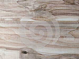 Birch plywood texture close up