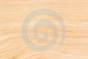 Birch plywood texture