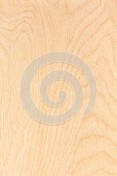 Birch plywood texture
