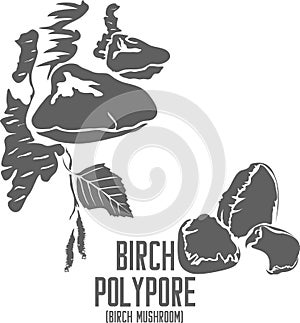 Birch Polypore mushroom silhouette vector illustration