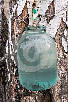 Birch sap